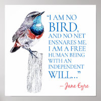 Jane Eyre - I Am No Bird - Blue Throated Bird