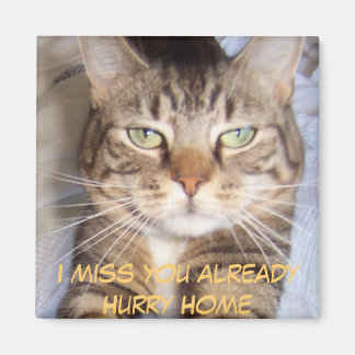 Jane says..HURRY HOME I MISS YOU A... - Customised Magnet