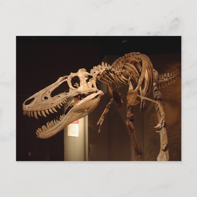 Jane - View #6 Postcard (Front)