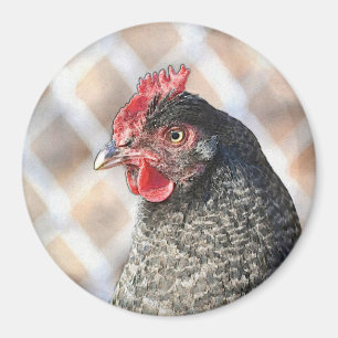 Janet The Hen Magnet