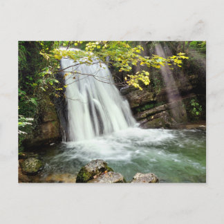 Janet's Foss, The Yorkshire Dales - Postcard