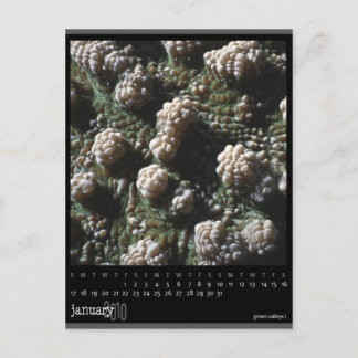 january 2010 calendar postcard