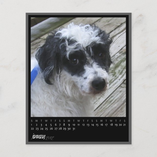 january 2012 calendar (Front)