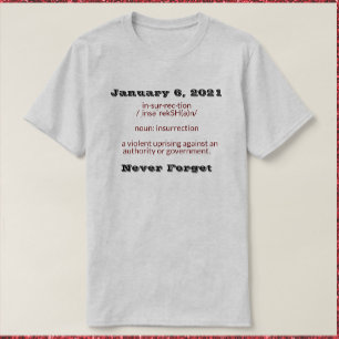 January 6 Insurrection T-Shirt