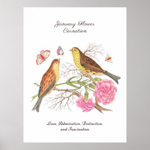January Birth Month Flower  Birthday Gift      Poster