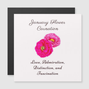 January Birth Month Flower Carnation Elegant Flora