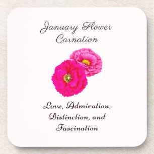 January Birth Month Flower Carnation Elegant Flora Coaster