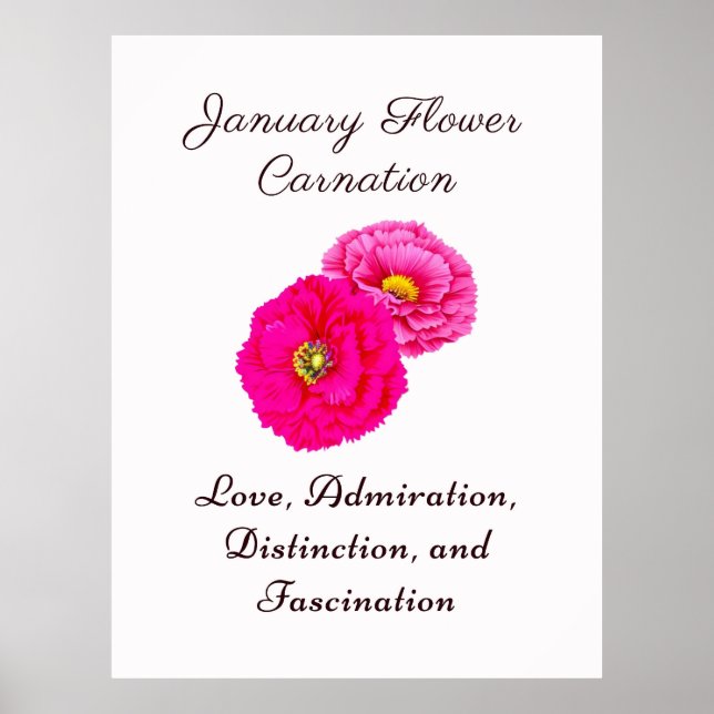 January Birth Month Flower Carnation Elegant Flora Poster (Front)