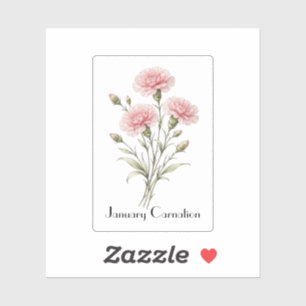 January Carnation Flowers 