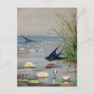 January   Fidelia Bridges Postcard