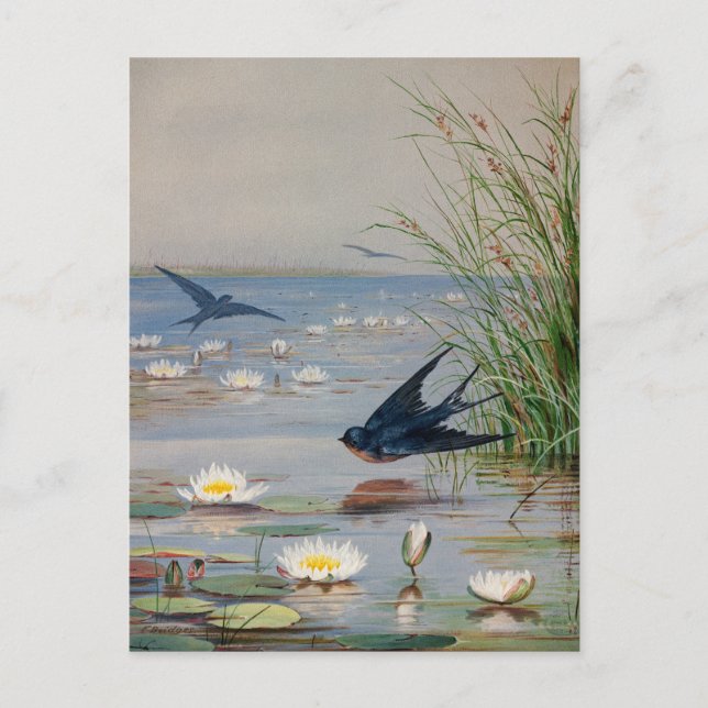 January | Fidelia Bridges Postcard (Front)