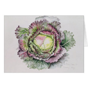 January King Cabbage