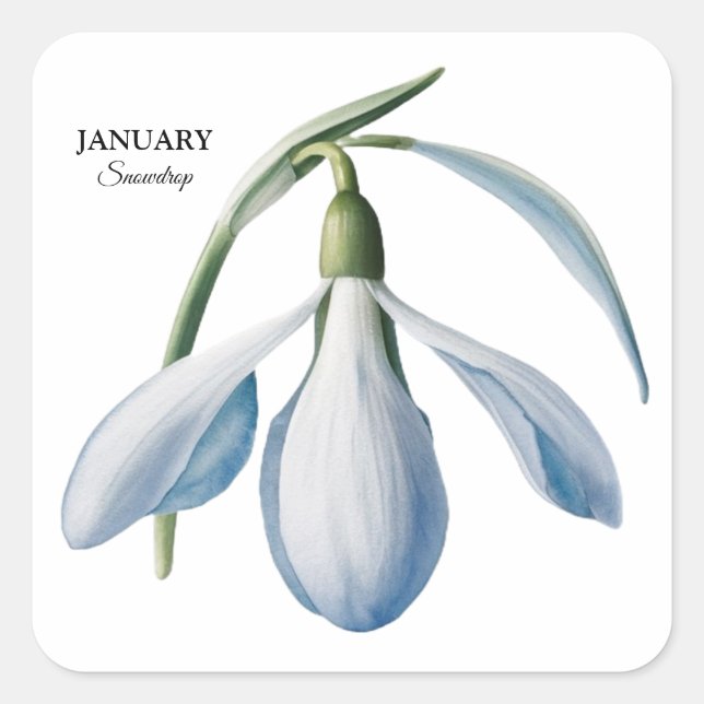 January Snowdrop Bloom - Personalized Gift Square Sticker (Front)