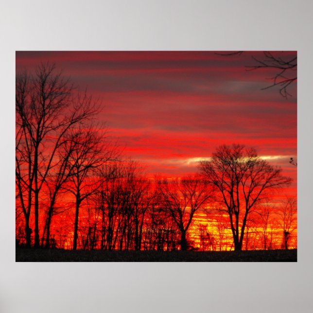 January Sunset Poster (Front)