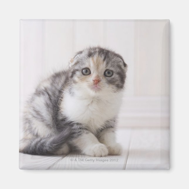 Japan 5 magnet (Front)