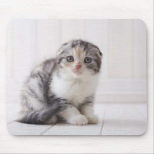 Japan 5 mouse mat