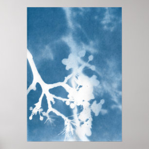 Japan Cherry Blossom Cyanotype Vintage Inspired Poster