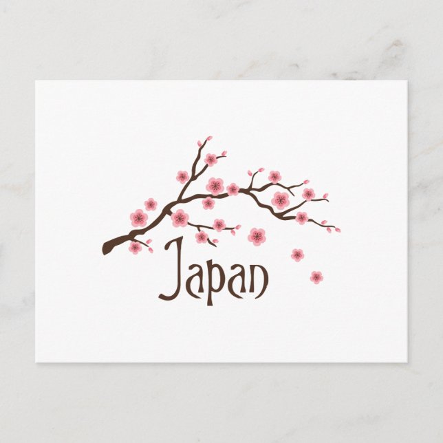 Japan Cherry Blossoms Postcard (Front)