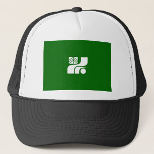 japan country region flag prefecture tochigi trucker hat