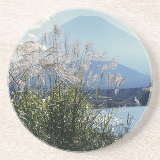 Japan, Honshu, Yamanashi Pref., Fuji-Hakone-Izu Coaster (Front)