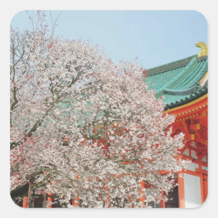 Japan, Kyoto. Cherry blossom of Shinto Square Sticker