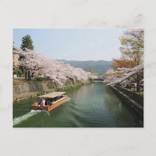 Japan, Kyoto. Flower viewing on the boat Postcard (Front)