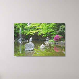 Japan, Kyoto. Heron in fresh green leaves Canvas Print