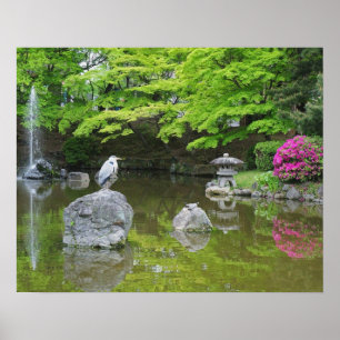 Japan, Kyoto. Heron in fresh green leaves Poster