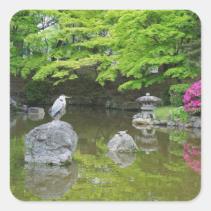 Japan, Kyoto. Heron in fresh green leaves Square Sticker