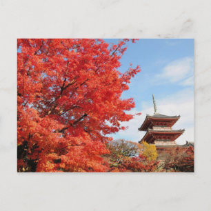 Japan, Kyoto. Kiyomizu temple in Autumn colour Postcard