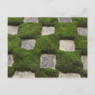 Japan, Kyoto, Tofukuji Temple, Garden Postcard