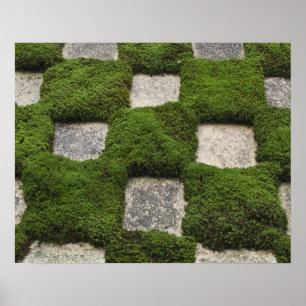 Japan, Kyoto, Tofukuji Temple, Garden Poster
