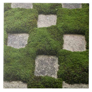 Japan, Kyoto, Tofukuji Temple, Garden Tile