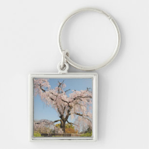 Japan, Kyoto. Weeping cherry tree under blue sky Key Ring