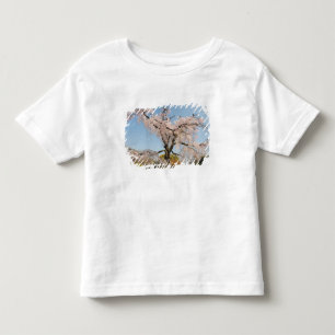 Japan, Kyoto. Weeping cherry tree under blue sky Toddler T-Shirt