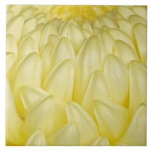 Japan, Mie, Ise Shrine, Chrysanthemum Tile