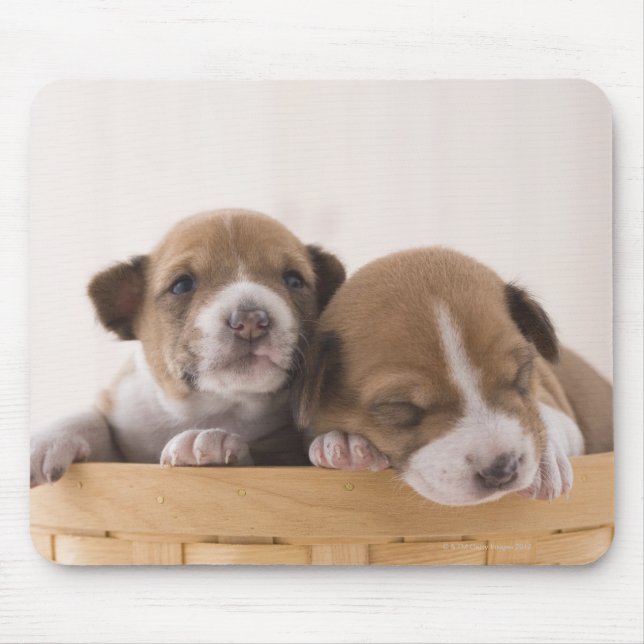 Japan Mouse Mat (Front)