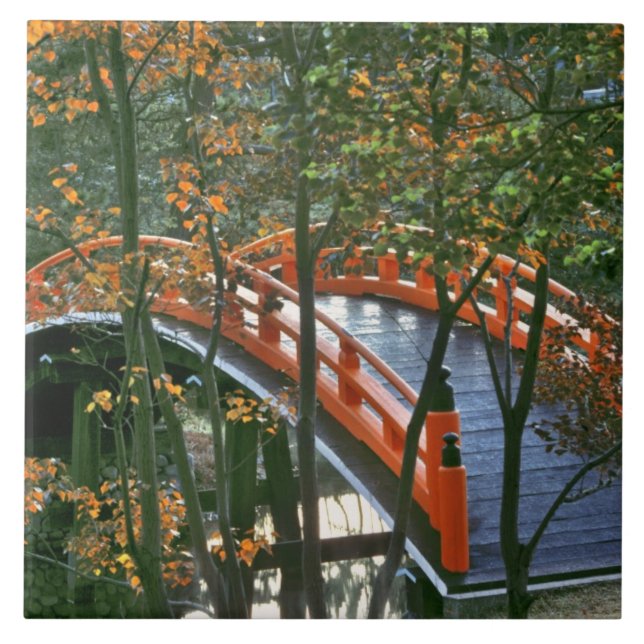 Japan, Nara Pref., Nara. The Royal Bridge glows Tile (Front)