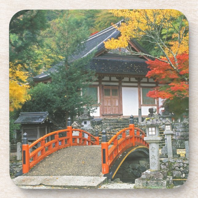 Japan, Nara, Ryuzenji Temple Coaster (Front)