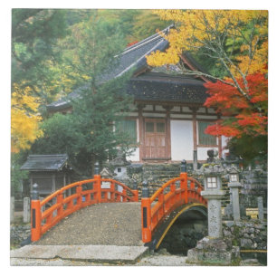 Japan, Nara, Ryuzenji Temple Tile