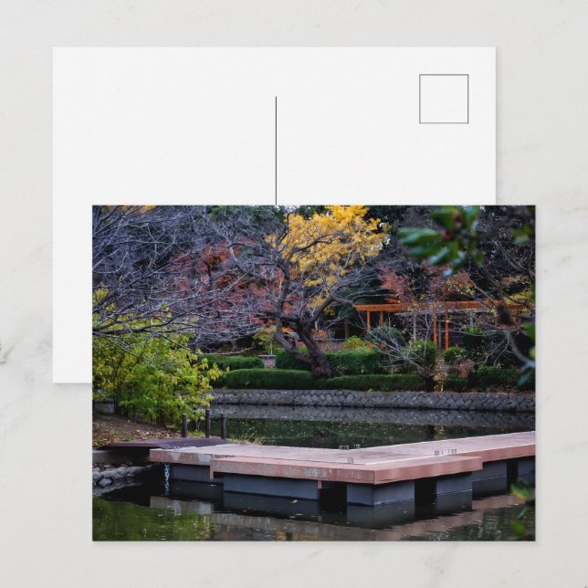 Japan Pond Postcard (Front/Back)