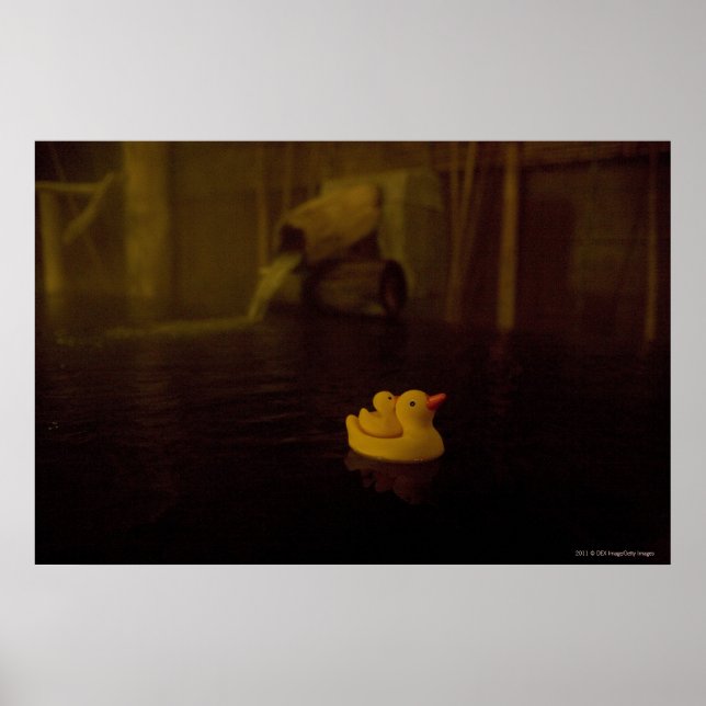 Japan Poster (Front)