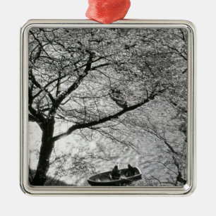 Japan, Tokyo. Cherry blossoms in the Imperial Metal Tree Decoration