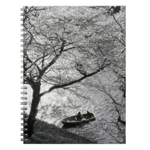 Japan, Tokyo. Cherry blossoms in the Imperial Notebook