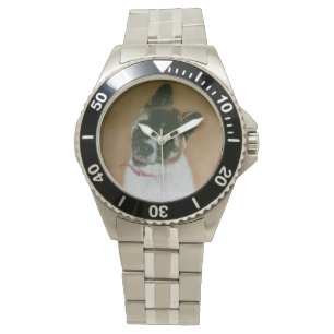 Japanese/American cute pinto puppy akita watch