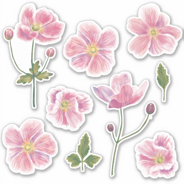 Japanese Anemone Flower (Front)