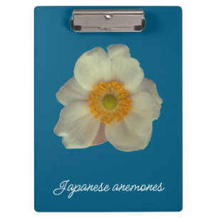 Japanese anemones flower clipboard