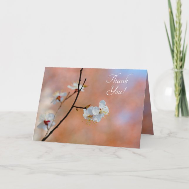 Japanese Apricot blossoms Thank You Card (Front)