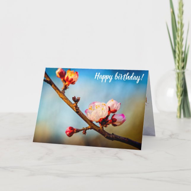 Japanese Apricot Flowers And The Clear Blue Sky Card (Front)