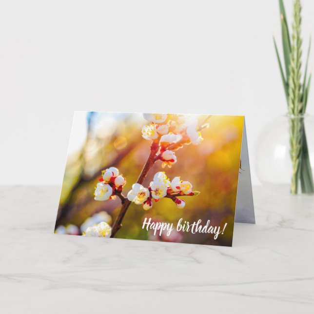 Japanese Apricot Flowers At Hot Orange Sunset Card (Front)